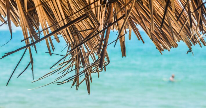 DIVEM, vacaciones, diversidad cultural